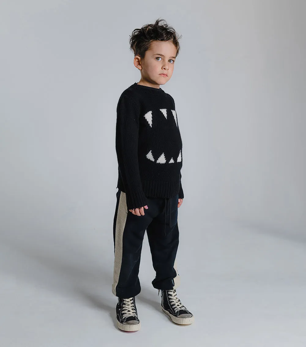 side panel sweatpants