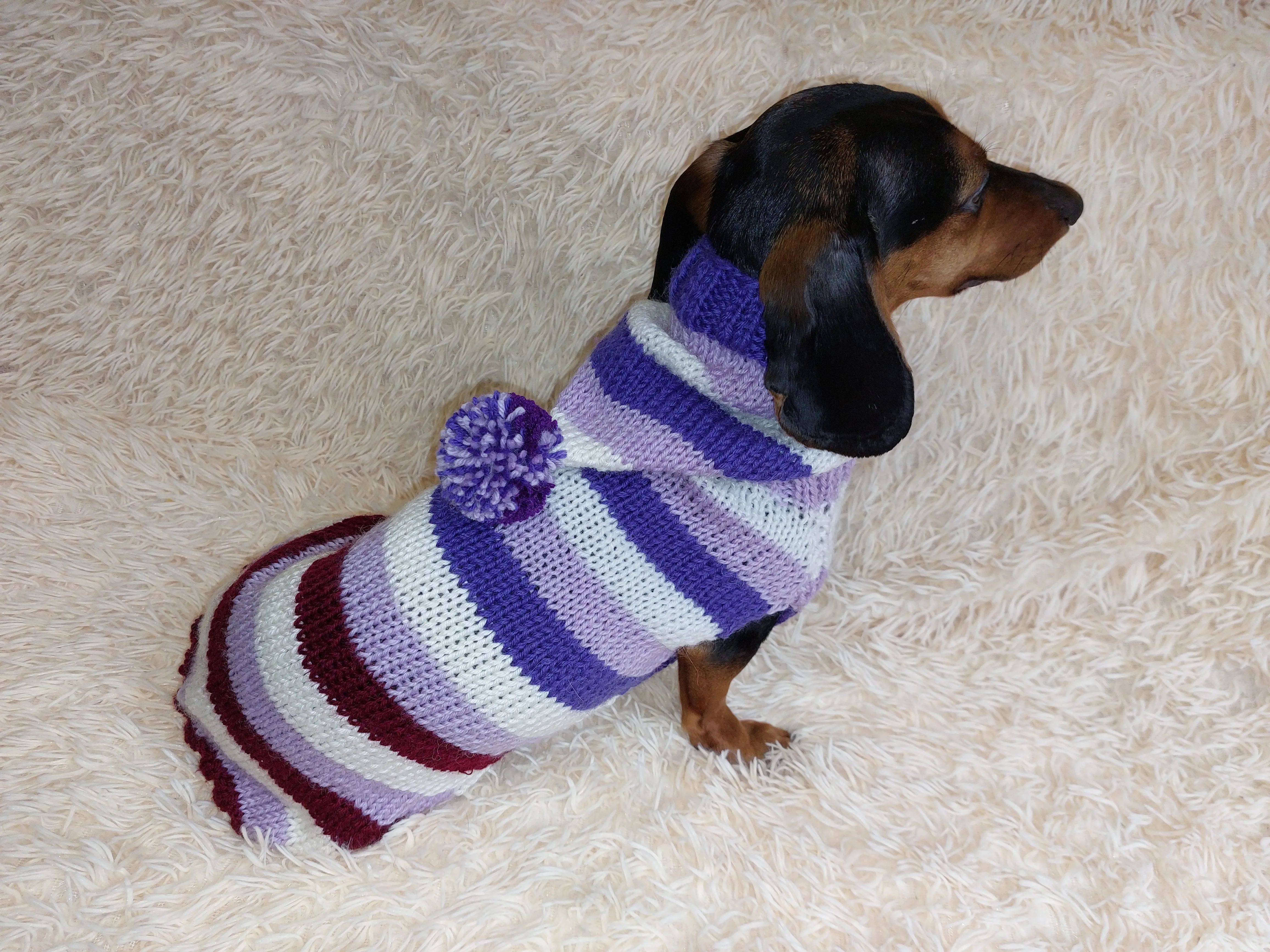 Striped sweatshirt for pets, hoodie for dogs, striped hoodie for dachshund