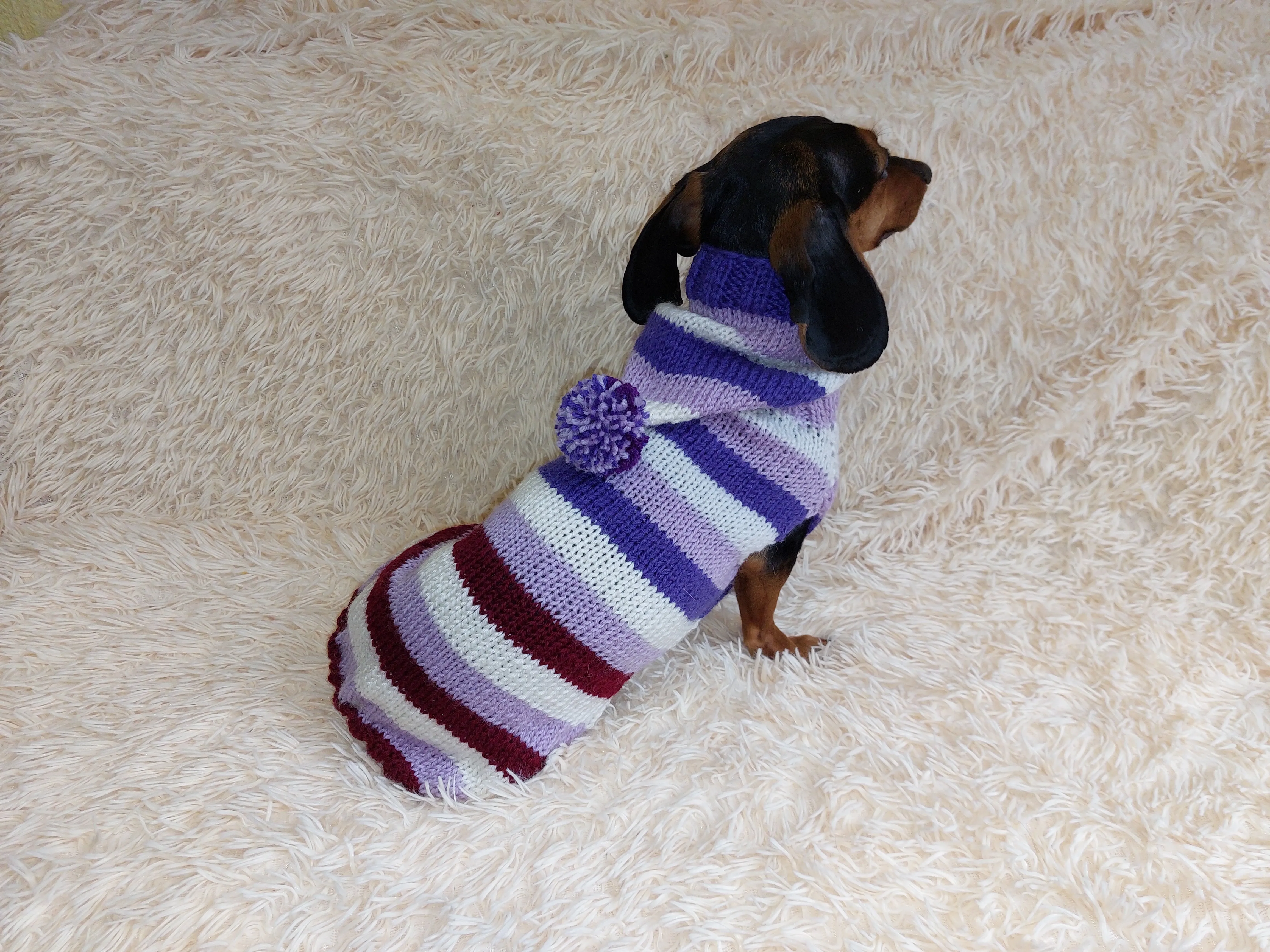 Striped sweatshirt for pets, hoodie for dogs, striped hoodie for dachshund
