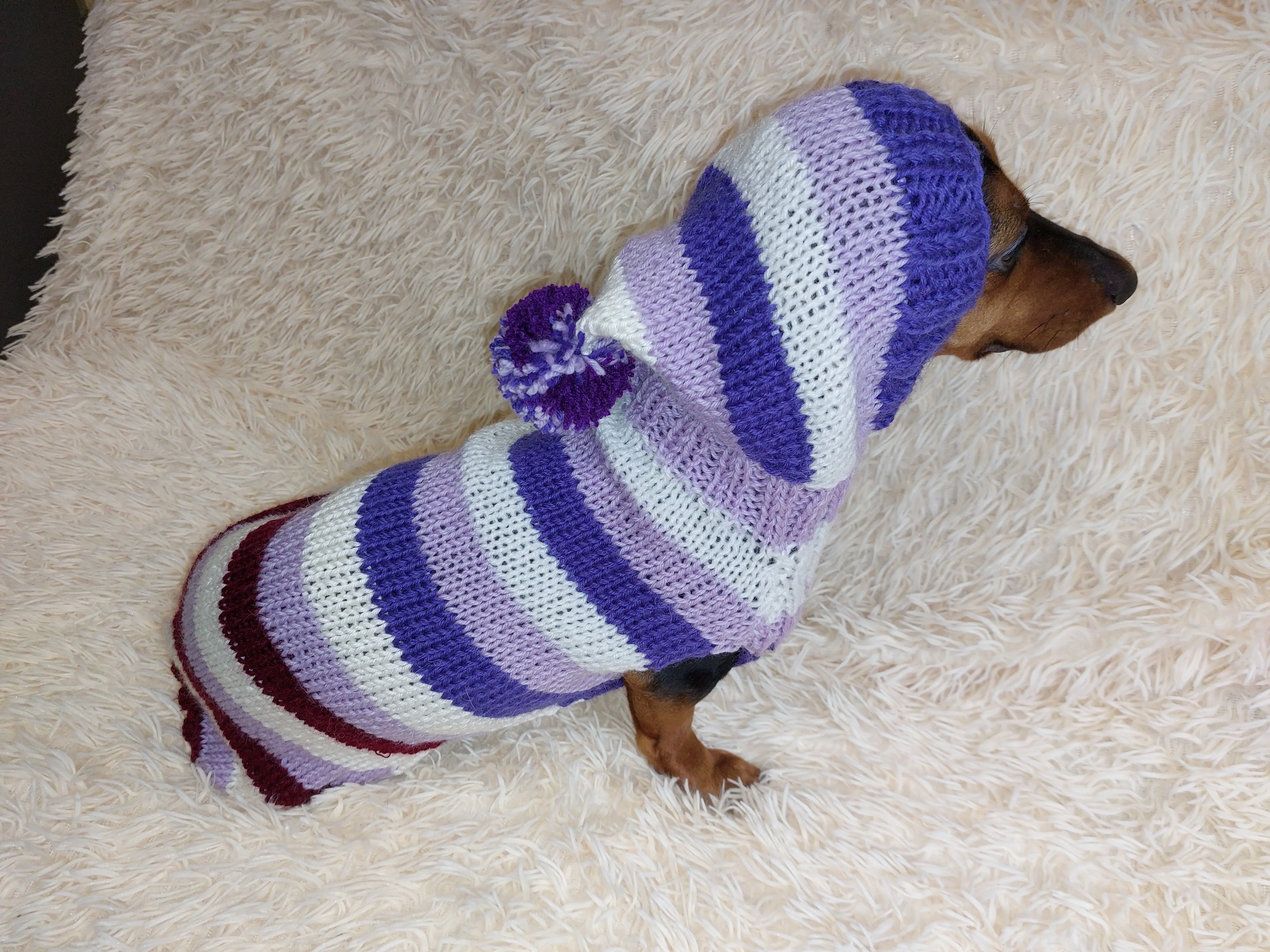 Striped sweatshirt for pets, hoodie for dogs, striped hoodie for dachshund