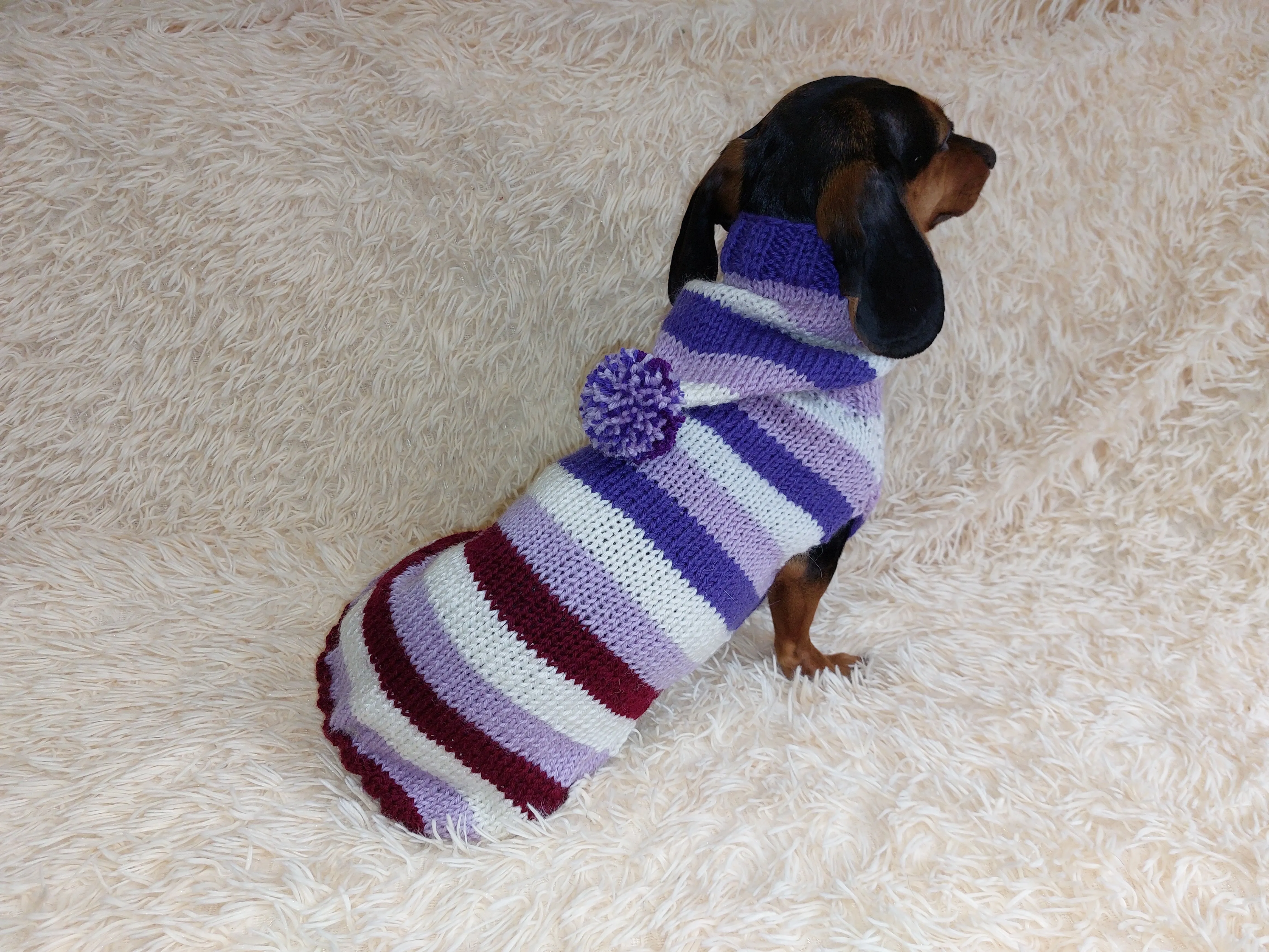 Striped sweatshirt for pets, hoodie for dogs, striped hoodie for dachshund