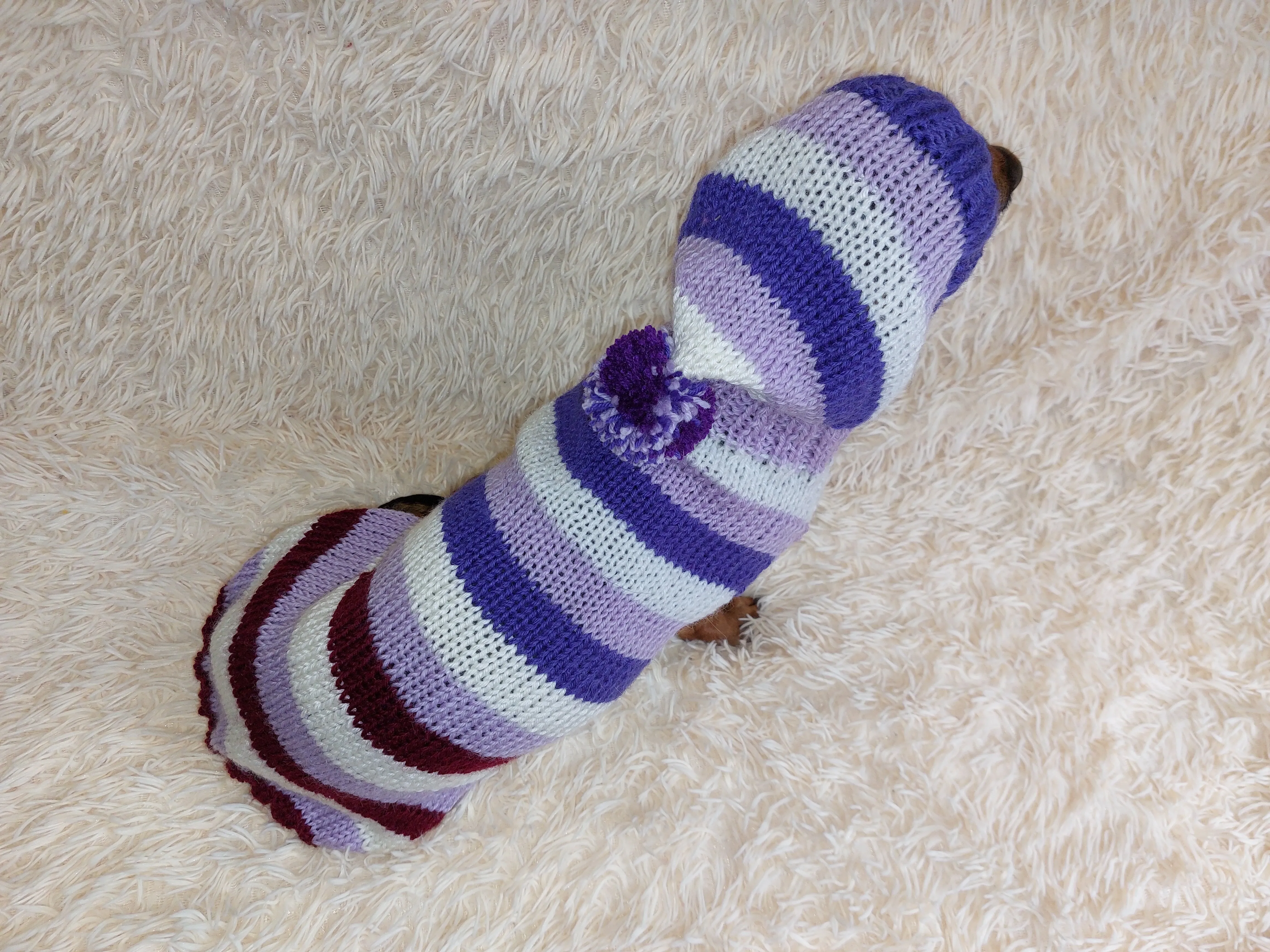 Striped sweatshirt for pets, hoodie for dogs, striped hoodie for dachshund