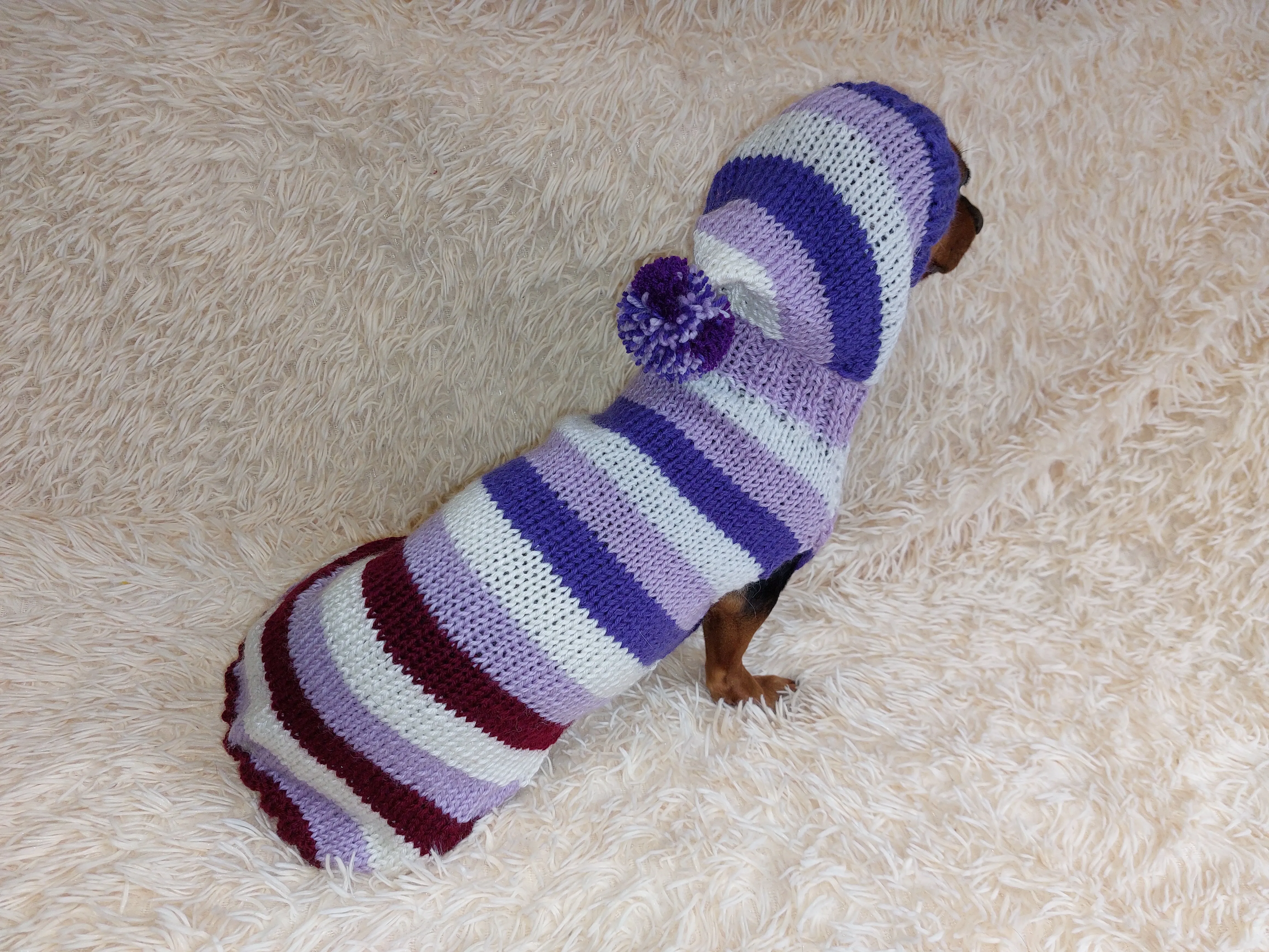 Striped sweatshirt for pets, hoodie for dogs, striped hoodie for dachshund
